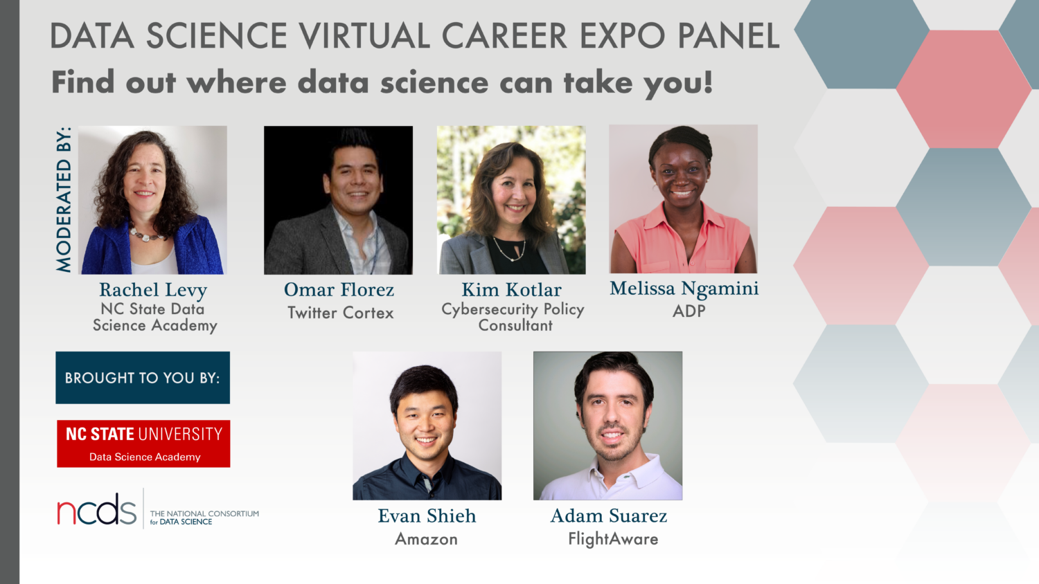 Data Science Virtual Career Expo Panel slide with panelist pictures