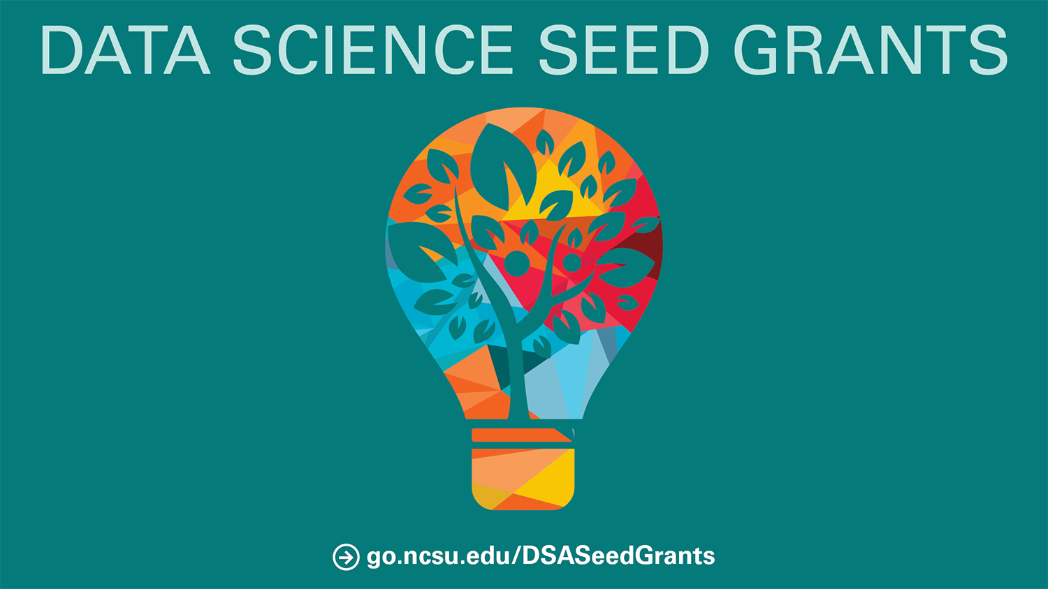 A colorful lightbulb on a teal background. Text: Data Science Seed Grants. URL: go.ncsu.edu/DSASeedGrants